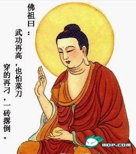 佛曰：武功再高，也怕菜刀可爱趣图gif搞笑图片