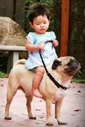 把狗狗当马骑的小孩可爱趣图gif搞笑图片