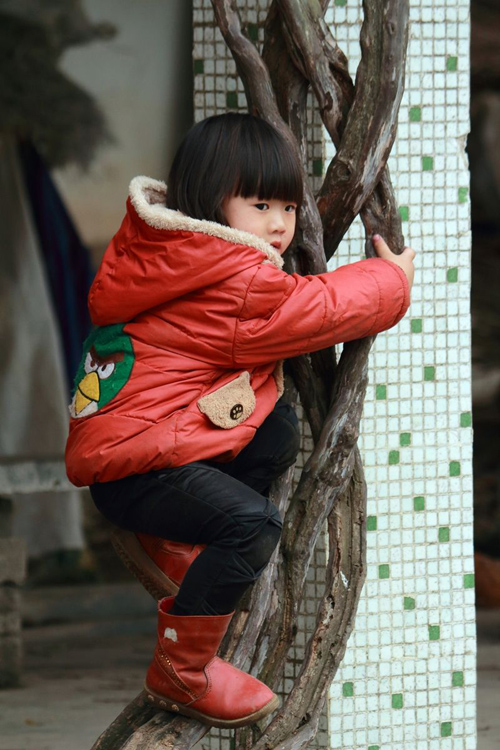 太可怕了，吓得我只能爬树躲起来可爱趣图gif搞笑图片