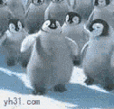 跳街舞的企鹅可爱趣图gif搞笑图片