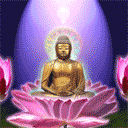 佛法无边可爱趣图gif搞笑图片