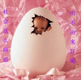 社会这么险恶，我到底出不出来呢可爱趣图gif搞笑图片