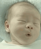 哥投胎转世了，一切都是浮云可爱趣图gif搞笑图片