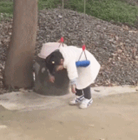 小丫头真聪明，爬着荡秋千不摔跤可爱趣图gif搞笑图片