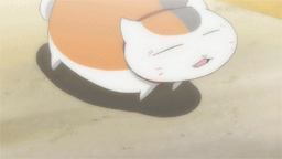 在地上狂跳的猫猫可爱趣图gif搞笑图片