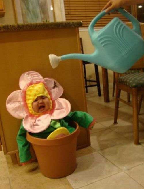 我来给祖国的花朵浇水可爱趣图gif搞笑图片