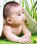 伸个脑袋出来瞧一瞧可爱趣图gif搞笑图片