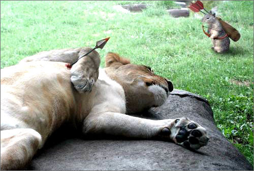 今天不小心栽在一只小老鼠的手里，我表示不服可爱趣图gif搞笑图片