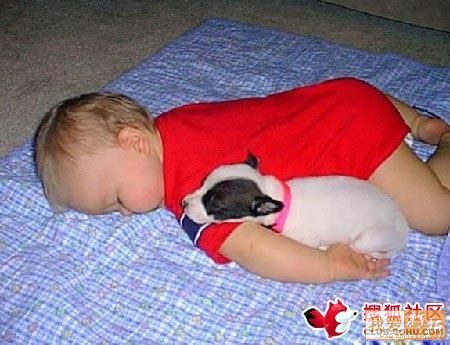 爬着和小狗一起睡觉可爱趣图gif搞笑图片
