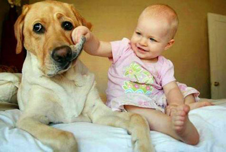 这小孩敢扯我的嘴巴，算啦不咬你了可爱趣图gif搞笑图片