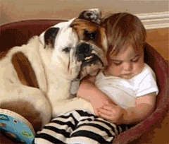 沙皮狗抱着宝宝睡觉可爱趣图gif搞笑图片