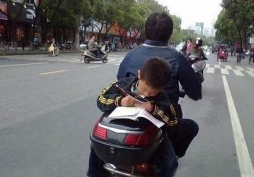 从小酷爱学习，将来一定有出息可爱趣图gif搞笑图片