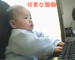 小男孩也上网找美女聊天可爱趣图gif搞笑图片