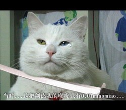 哥宁死不屈，只流最后一滴泪可爱趣图gif搞笑图片