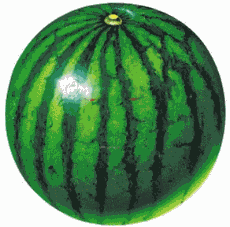 西瓜也会做怪脸可爱趣图gif搞笑图片