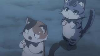 两只拍手跳舞的卡通猫咪可爱趣图gif搞笑图片