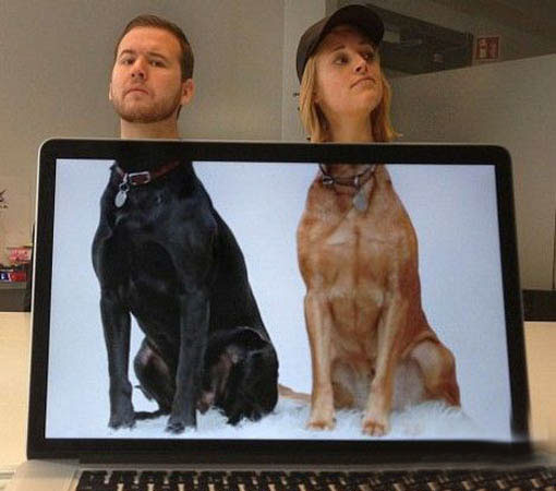 二货夫妻一起拍人头狗身的合照可爱趣图gif搞笑图片