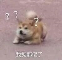 给我吓的要死可爱趣图gif搞笑图片