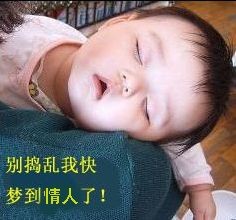 别捣乱，我快梦到情人了可爱趣图gif搞笑图片