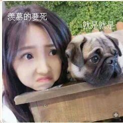 小女生学狗狗爬着撇嘴可爱趣图gif搞笑图片