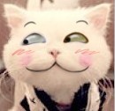 像白痴一样的猫猫可爱趣图gif搞笑图片