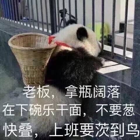 老板搞利索点可爱趣图gif搞笑图片