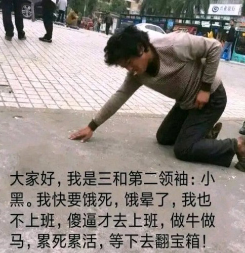 我是三和领袖，饿死也不会去上班，傻逼才去可爱趣图gif搞笑图片