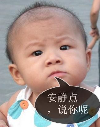 你给我安静点，我说你呢可爱趣图gif搞笑图片