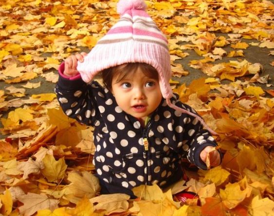 藏在树叶下的小朋友可爱趣图gif搞笑图片