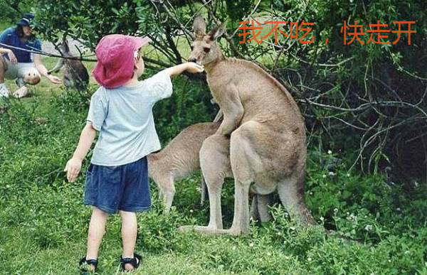 小朋友快走开，别打扰我办事可爱趣图gif搞笑图片