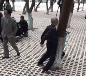 大爷在公园面对着一颗树狂顶，这在练什么功呢可爱趣图gif搞笑图片