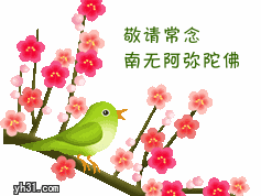 敬请常念，阿弥陀佛可爱趣图gif搞笑图片