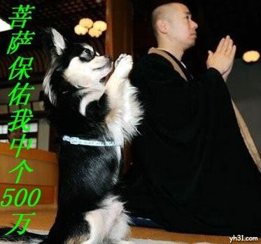 求菩萨保佑我发大财可爱趣图gif搞笑图片