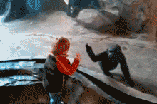 隔着玻璃跟猴子玩拍手可爱趣图gif搞笑图片