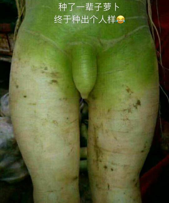 种一辈子的萝卜，终于种出了个人样可爱趣图gif搞笑图片
