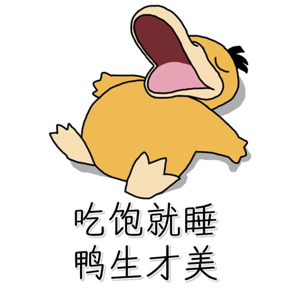 吃饱就睡,鸭生才美爆笑gif搞笑图片