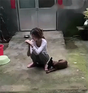 你看真的舔狗下场是不是这样爆笑gif搞笑图片