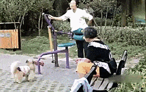 嘿嘿哈嘿，在几下，腹肌就出来了爆笑gif搞笑图片