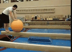 如果你觉得，围着你的都是苍蝇，那可能你自己是坨屎。爆笑gif搞笑图片