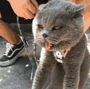 学过很多技能，发现最有用的是“想开点”爆笑gif搞笑图片