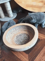 从月初的一无所有，到月底的身无分文，勿忘初心，本月白忙爆笑gif搞笑图片