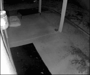 假如有一天你想哭，请打电话给我，让我知道，你也有今天爆笑gif搞笑图片