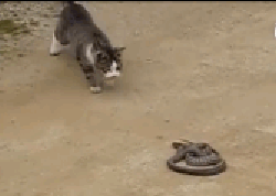 公司组织去五台山旅游，做了好长时间的车后，终于下车了，由于憋爆笑gif搞笑图片