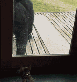 老婆：我们来做个互相夸奖对方的游戏，你先来!我：老婆你真漂亮爆笑gif搞笑图片