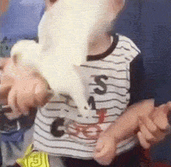 儿子：爸爸你从哪捡了这么多东西回来。爸爸：我的这些东西都是别爆笑gif搞笑图片