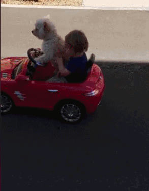 当你觉得自己又丑又穷一无是处时，别绝望，因为至少你的判断还是爆笑gif搞笑图片