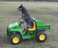 生活不止远方的苟且，还有前任的请帖。爆笑gif搞笑图片