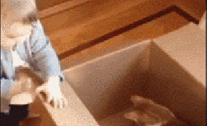 感谢那些曾经把我击倒的人，谢谢你们，躺着真舒服爆笑gif搞笑图片