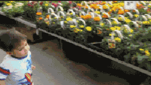 “长的好看的女人都不靠谱。”“那不好看的呢?”“既不好看，又爆笑gif搞笑图片