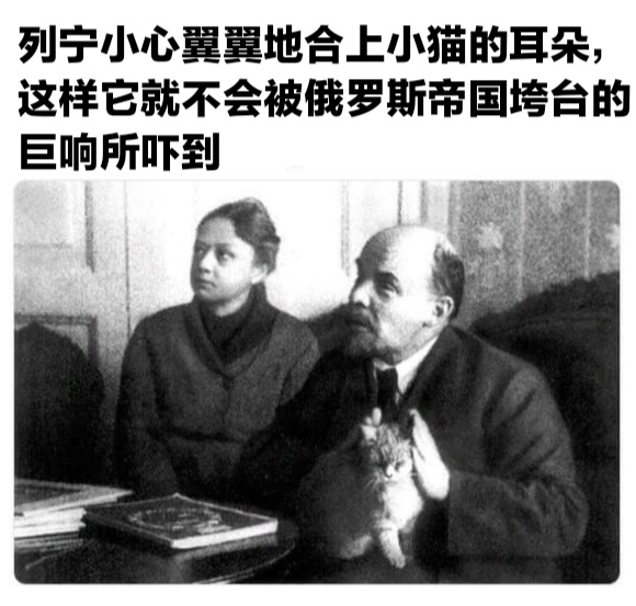 列宁小心翼翼的合上小猫的耳朵，这样它就不会被俄罗斯帝国垮台的爆笑gif搞笑图片